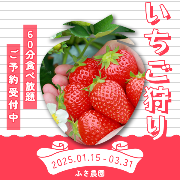 バナー画像2